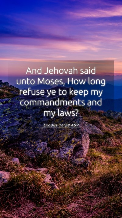 Picture 05 - Exodus 16:28 ASV Mobile Phone Wallpaper - And Jehovah said unto Moses, How long refuse ye - Mobile Bible Verse Wallpaper