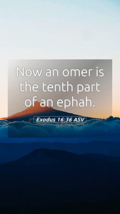 Picture 05 - Exodus 16:36 ASV Mobile Phone Wallpaper - Now an omer is the tenth part of an - Mobile Bible Verse Wallpaper