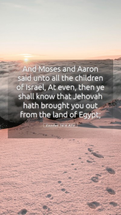 Picture 05 - Exodus 16:6 ASV Mobile Phone Wallpaper - And Moses and Aaron said unto all the children of - Mobile Bible Verse Wallpaper