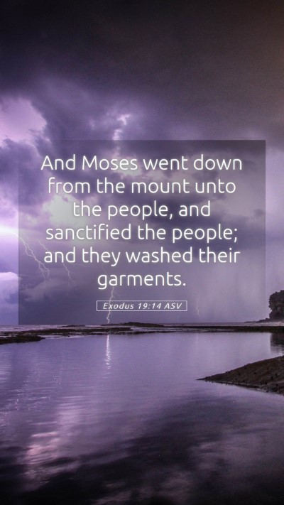 Picture 05 - Exodus 19:14 ASV Mobile Phone Wallpaper - And Moses went down from the mount unto the - Mobile Bible Verse Wallpaper
