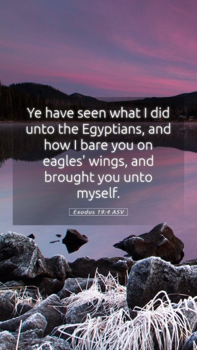 Picture 05 - Exodus 19:4 ASV Mobile Phone Wallpaper - Ye have seen what I did unto the Egyptians, and - Mobile Bible Verse Wallpaper