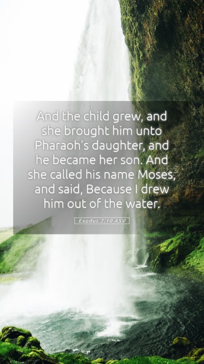 Picture 05 - Exodus 2:10 ASV Mobile Phone Wallpaper - And the child grew, and she brought him unto - Mobile Bible Verse Wallpaper