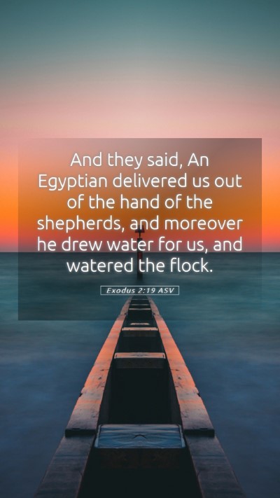 Picture 05 - Exodus 2:19 ASV Mobile Phone Wallpaper - And they said, An Egyptian delivered us out of - Mobile Bible Verse Wallpaper
