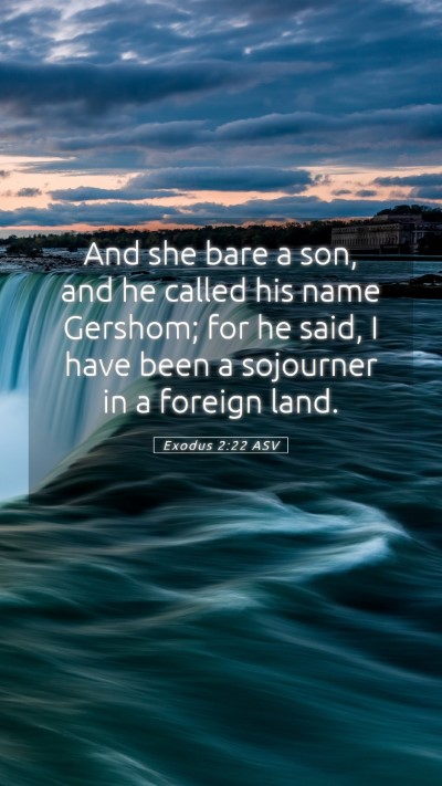 Picture 05 - Exodus 2:22 ASV Mobile Phone Wallpaper - And she bare a son, and he called his name - Mobile Bible Verse Wallpaper