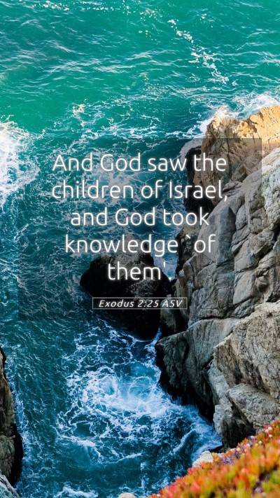 Picture 05 - Exodus 2:25 ASV Mobile Phone Wallpaper - And God saw the children of Israel, and God took - Mobile Bible Verse Wallpaper