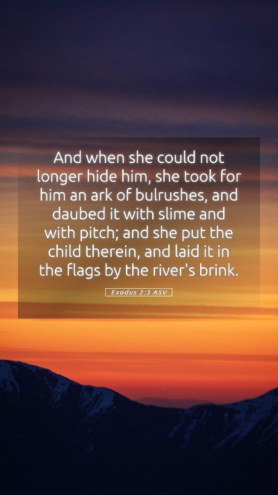 Picture 05 - Exodus 2:3 ASV Mobile Phone Wallpaper - And when she could not longer hide him, she took - Mobile Bible Verse Wallpaper