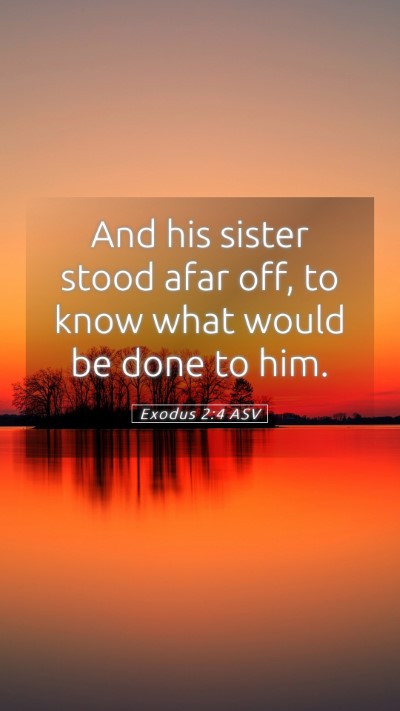 Picture 05 - Exodus 2:4 ASV Mobile Phone Wallpaper - And his sister stood afar off, to know what would - Mobile Bible Verse Wallpaper