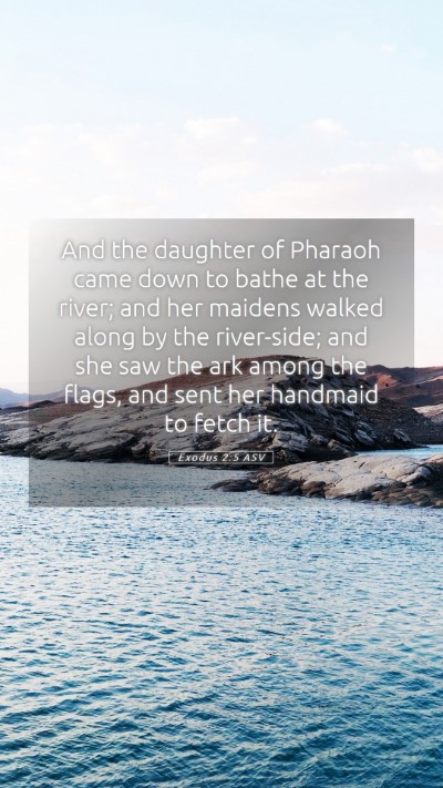 Picture 05 - Exodus 2:5 ASV Mobile Phone Wallpaper - And the daughter of Pharaoh came down to bathe at - Mobile Bible Verse Wallpaper
