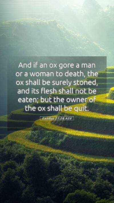 Picture 05 - Exodus 21:28 ASV Mobile Phone Wallpaper - And if an ox gore a man or a woman to death, the - Mobile Bible Verse Wallpaper