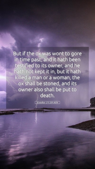 Picture 05 - Exodus 21:29 ASV Mobile Phone Wallpaper - But if the ox was wont to gore in time past, and - Mobile Bible Verse Wallpaper
