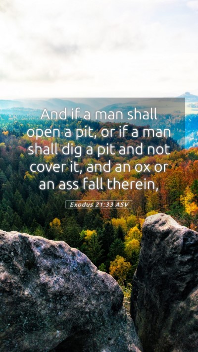 Picture 05 - Exodus 21:33 ASV Mobile Phone Wallpaper - And if a man shall open a pit, or if a man shall - Mobile Bible Verse Wallpaper