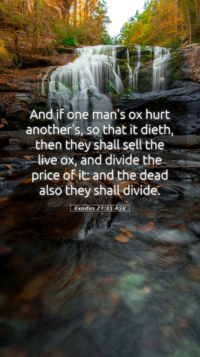 Picture 05 - Exodus 21:35 ASV Mobile Phone Wallpaper - And if one man's ox hurt another's, so that it - Mobile Bible Verse Wallpaper