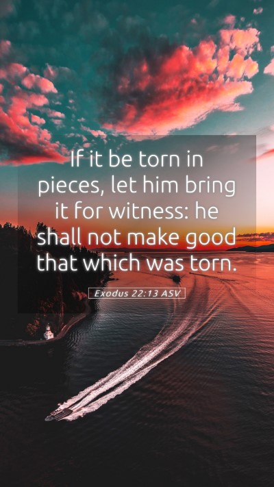 Picture 05 - Exodus 22:13 ASV Mobile Phone Wallpaper - If it be torn in pieces, let him bring it for - Mobile Bible Verse Wallpaper