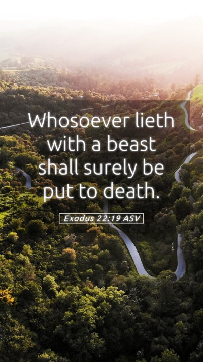 Picture 05 - Exodus 22:19 ASV Mobile Phone Wallpaper - Whosoever lieth with a beast shall surely be put - Mobile Bible Verse Wallpaper