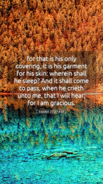 Picture 05 - Exodus 22:27 ASV Mobile Phone Wallpaper - for that is his only covering, it is his garment - Mobile Bible Verse Wallpaper