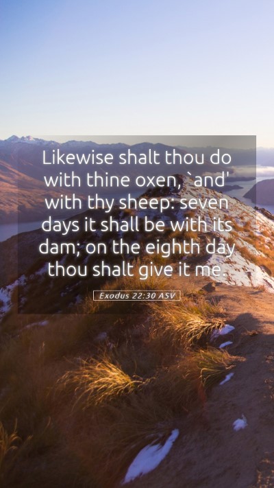 Picture 05 - Exodus 22:30 ASV Mobile Phone Wallpaper - Likewise shalt thou do with thine oxen, `and' - Mobile Bible Verse Wallpaper