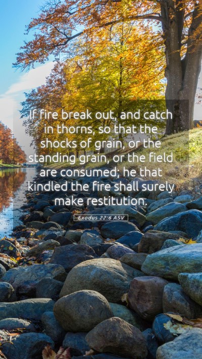 Picture 05 - Exodus 22:6 ASV Mobile Phone Wallpaper - If fire break out, and catch in thorns, so that - Mobile Bible Verse Wallpaper