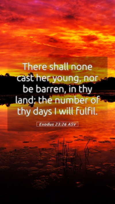 Picture 05 - Exodus 23:26 ASV Mobile Phone Wallpaper - There shall none cast her young, nor be barren, - Mobile Bible Verse Wallpaper