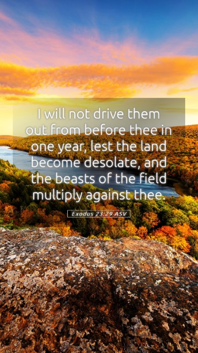 Picture 05 - Exodus 23:29 ASV Mobile Phone Wallpaper - I will not drive them out from before thee in one - Mobile Bible Verse Wallpaper