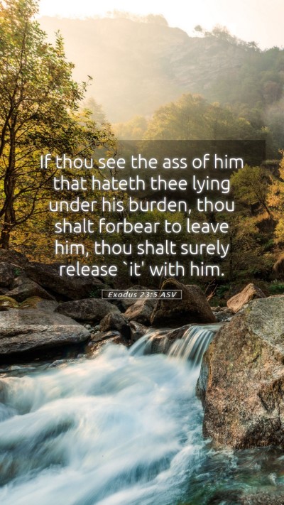 Picture 05 - Exodus 23:5 ASV Mobile Phone Wallpaper - If thou see the ass of him that hateth thee lying - Mobile Bible Verse Wallpaper