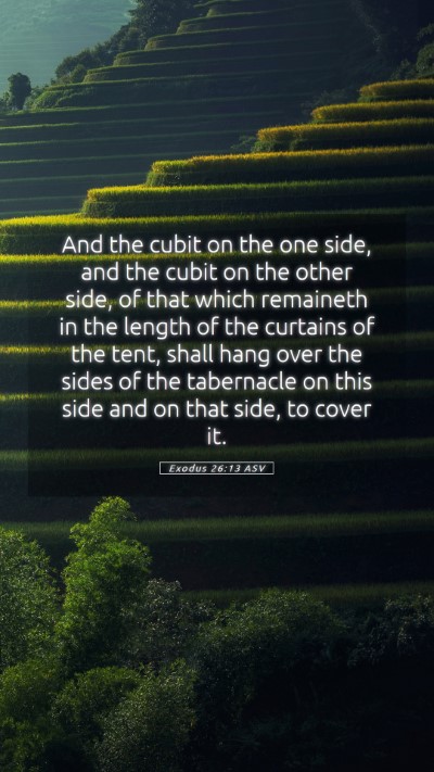 Picture 05 - Exodus 26:13 ASV Mobile Phone Wallpaper - And the cubit on the one side, and the cubit on - Mobile Bible Verse Wallpaper