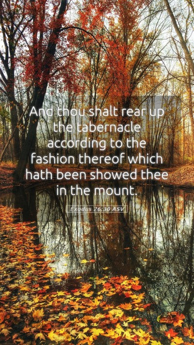 Picture 05 - Exodus 26:30 ASV Mobile Phone Wallpaper - And thou shalt rear up the tabernacle according - Mobile Bible Verse Wallpaper