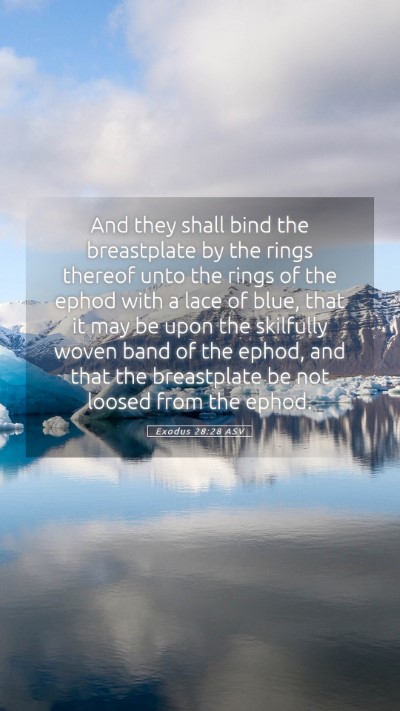 Picture 05 - Exodus 28:28 ASV Mobile Phone Wallpaper - And they shall bind the breastplate by the rings - Mobile Bible Verse Wallpaper