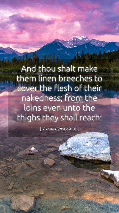 Picture 05 - Exodus 28:42 ASV Mobile Phone Wallpaper - And thou shalt make them linen breeches to cover - Mobile Bible Verse Wallpaper
