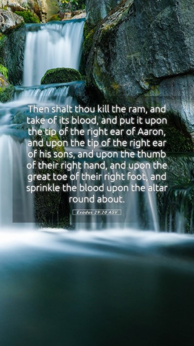 Picture 05 - Exodus 29:20 ASV Mobile Phone Wallpaper - Then shalt thou kill the ram, and take of its - Mobile Bible Verse Wallpaper