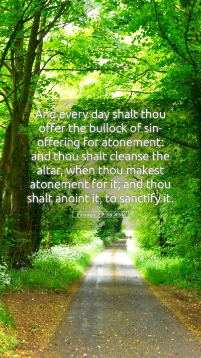 Picture 05 - Exodus 29:36 ASV Mobile Phone Wallpaper - And every day shalt thou offer the bullock of - Mobile Bible Verse Wallpaper