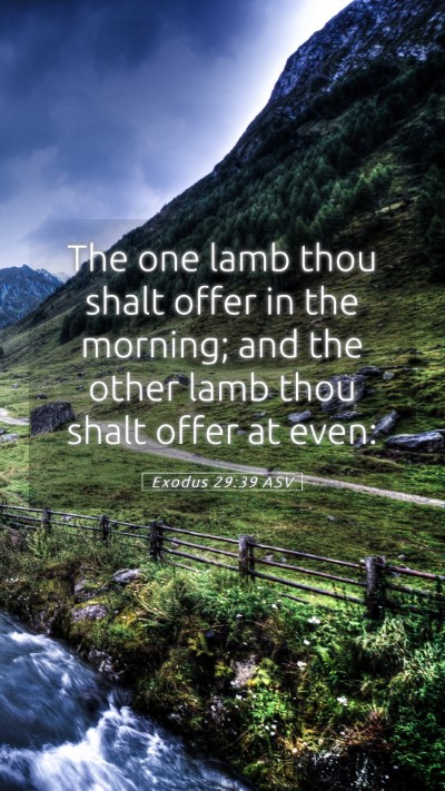 Picture 05 - Exodus 29:39 ASV Mobile Phone Wallpaper - The one lamb thou shalt offer in the morning; and - Mobile Bible Verse Wallpaper