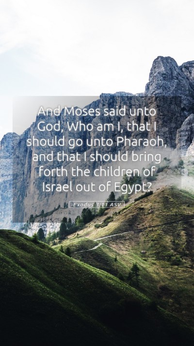 Picture 05 - Exodus 3:11 ASV Mobile Phone Wallpaper - And Moses said unto God, Who am I, that I should - Mobile Bible Verse Wallpaper