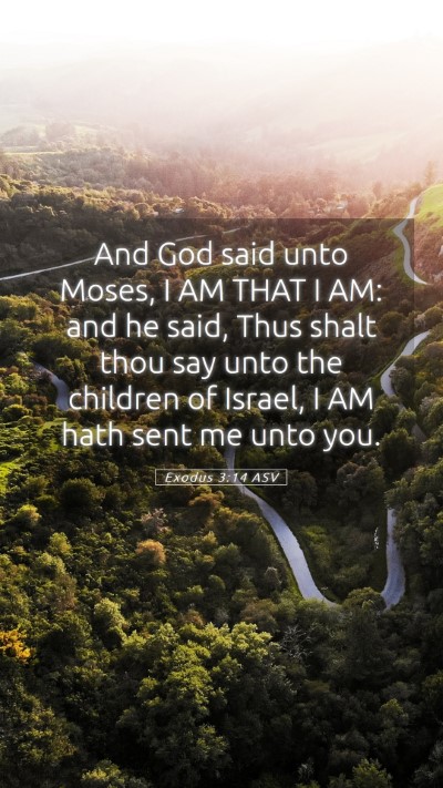 Picture 05 - Exodus 3:14 ASV Mobile Phone Wallpaper - And God said unto Moses, I AM THAT I AM: and he - Mobile Bible Verse Wallpaper