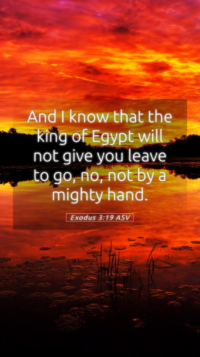 Picture 05 - Exodus 3:19 ASV Mobile Phone Wallpaper - And I know that the king of Egypt will not give - Mobile Bible Verse Wallpaper