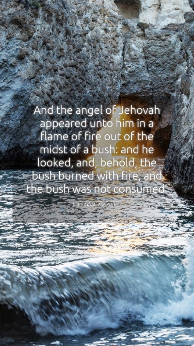 Picture 05 - Exodus 3:2 ASV Mobile Phone Wallpaper - And the angel of Jehovah appeared unto him in a - Mobile Bible Verse Wallpaper