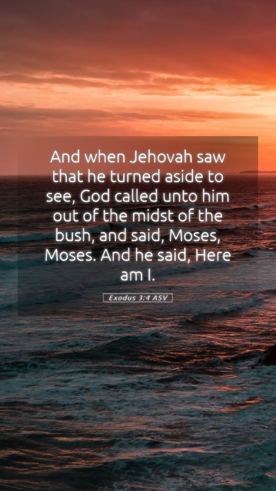 Picture 05 - Exodus 3:4 ASV Mobile Phone Wallpaper - And when Jehovah saw that he turned aside to see, - Mobile Bible Verse Wallpaper