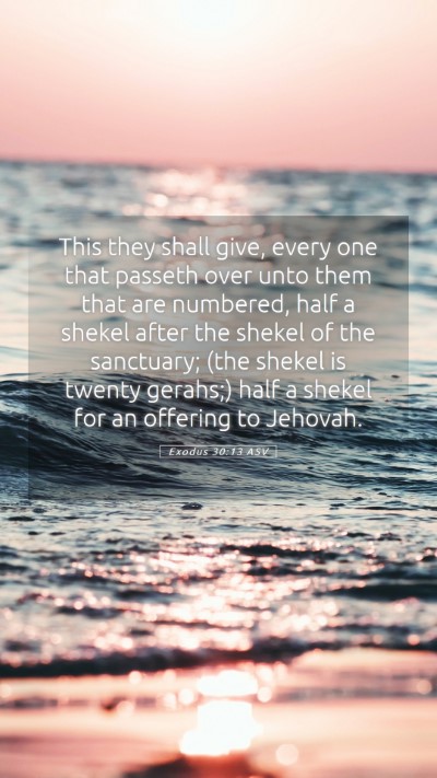 Picture 05 - Exodus 30:13 ASV Mobile Phone Wallpaper - This they shall give, every one that passeth over - Mobile Bible Verse Wallpaper