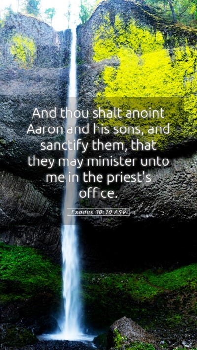 Picture 05 - Exodus 30:30 ASV Mobile Phone Wallpaper - And thou shalt anoint Aaron and his sons, and - Mobile Bible Verse Wallpaper