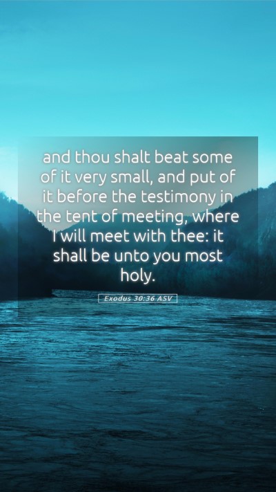 Picture 05 - Exodus 30:36 ASV Mobile Phone Wallpaper - and thou shalt beat some of it very small, and - Mobile Bible Verse Wallpaper