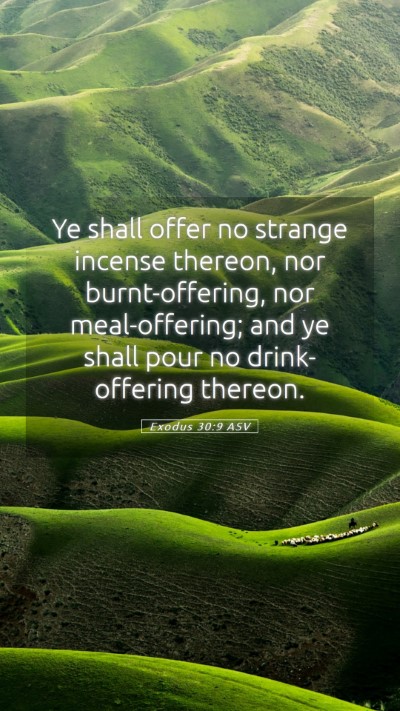 Picture 05 - Exodus 30:9 ASV Mobile Phone Wallpaper - Ye shall offer no strange incense thereon, nor - Mobile Bible Verse Wallpaper