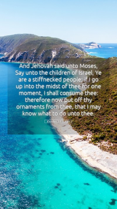 Picture 05 - Exodus 33:5 ASV Mobile Phone Wallpaper - And Jehovah said unto Moses, Say unto the - Mobile Bible Verse Wallpaper