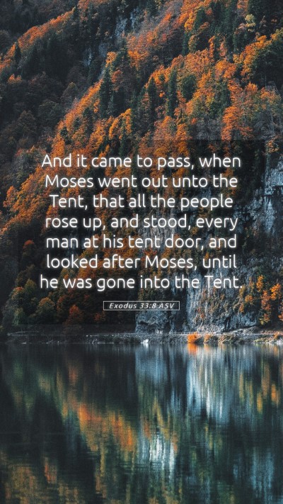 Picture 05 - Exodus 33:8 ASV Mobile Phone Wallpaper - And it came to pass, when Moses went out unto the - Mobile Bible Verse Wallpaper