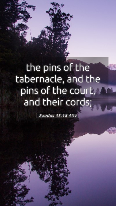 Picture 05 - Exodus 35:18 ASV Mobile Phone Wallpaper - the pins of the tabernacle, and the pins of the - Mobile Bible Verse Wallpaper