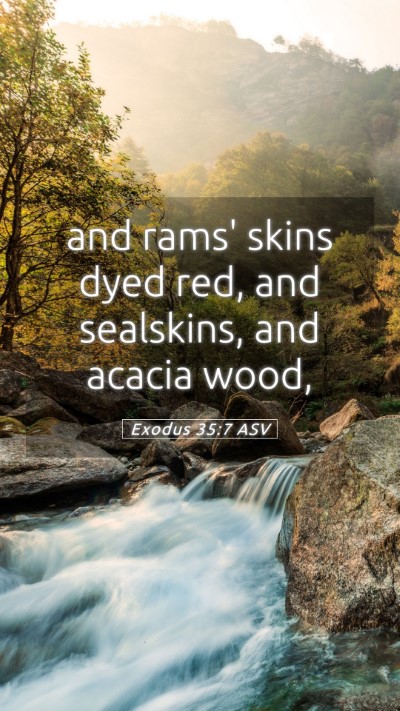 Picture 05 - Exodus 35:7 ASV Mobile Phone Wallpaper - and rams' skins dyed red, and sealskins, and - Mobile Bible Verse Wallpaper