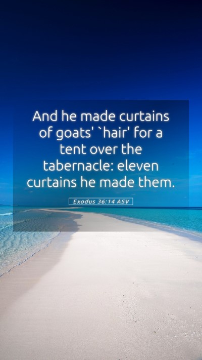 Picture 05 - Exodus 36:14 ASV Mobile Phone Wallpaper - And he made curtains of goats' `hair' for a tent - Mobile Bible Verse Wallpaper