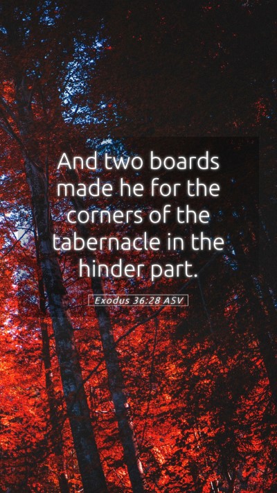 Picture 05 - Exodus 36:28 ASV Mobile Phone Wallpaper - And two boards made he for the corners of the - Mobile Bible Verse Wallpaper