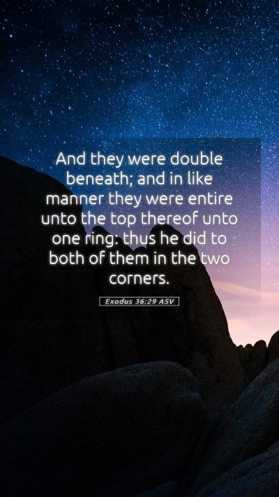 Picture 05 - Exodus 36:29 ASV Mobile Phone Wallpaper - And they were double beneath; and in like manner - Mobile Bible Verse Wallpaper