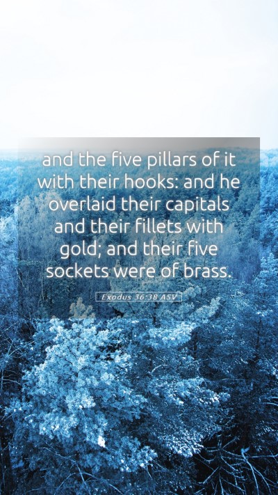 Picture 05 - Exodus 36:38 ASV Mobile Phone Wallpaper - and the five pillars of it with their hooks: and - Mobile Bible Verse Wallpaper