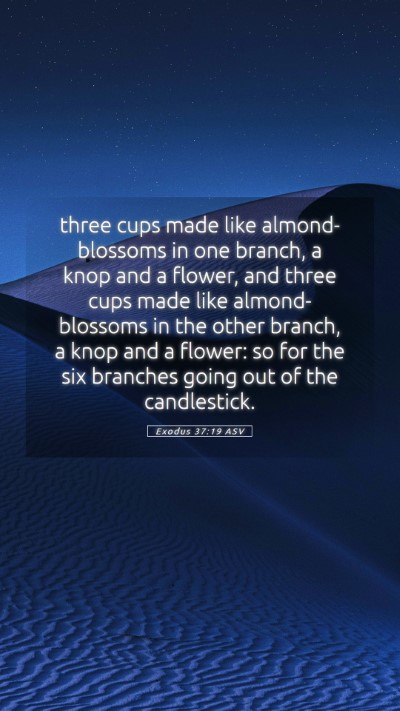 Picture 05 - Exodus 37:19 ASV Mobile Phone Wallpaper - three cups made like almond-blossoms in one - Mobile Bible Verse Wallpaper