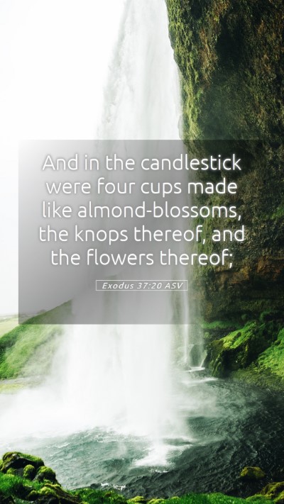 Picture 05 - Exodus 37:20 ASV Mobile Phone Wallpaper - And in the candlestick were four cups made like - Mobile Bible Verse Wallpaper
